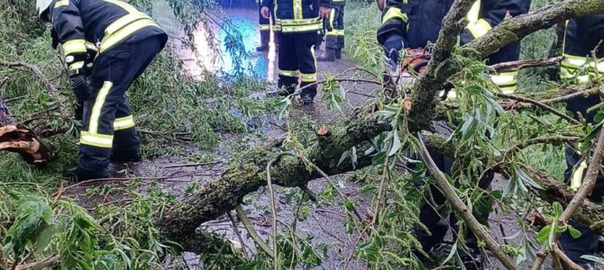 Sturmschäden in Riede und Felde