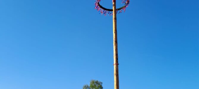 Maibaum aufstellen