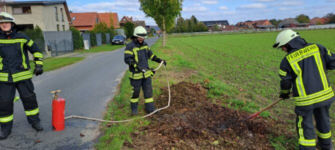 Flächenentstehungsbrand